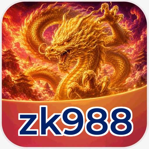 Overview zk988